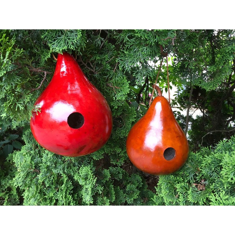 Gourd Birdhouses Special 2 Stained Handmade